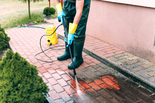 Animal Enclosure Cleaning in Hanford, CA