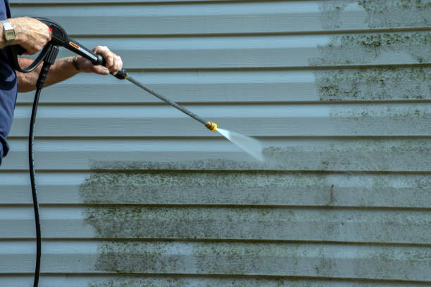Best Gutter Cleaning  in Hanford, CA